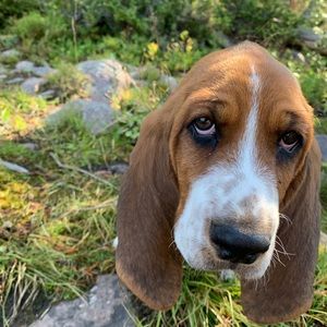 Meet your Posher, Rilee